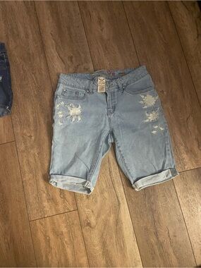 Faded Glory Light Blue Embroidered Men's Denim Shorts